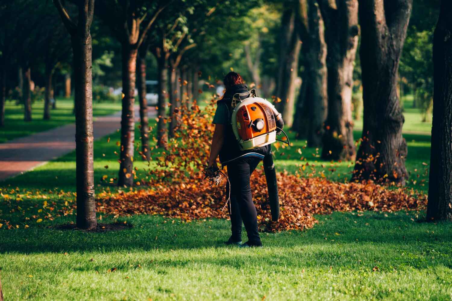 Best Stump Grinding Near Me  in Blue Mound, IL